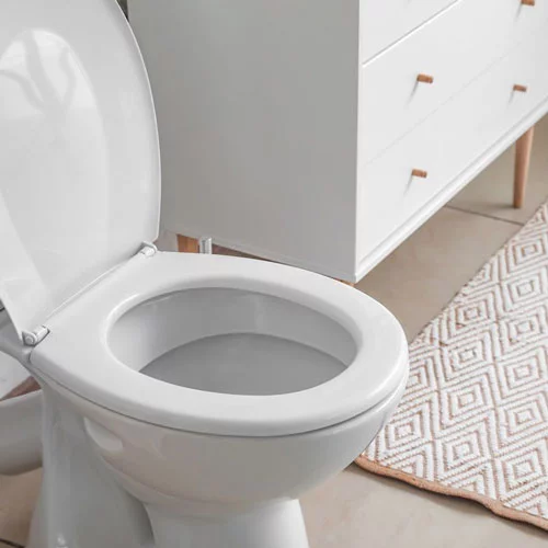 toilet repair and replacement canton georgia